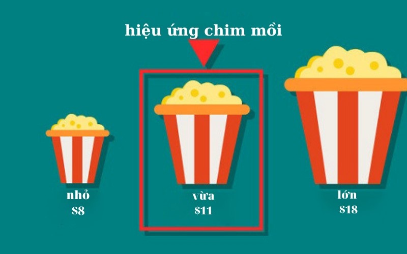 Hiệu ứng chim mồi là gì? Các ứng dụng trong kinh doanh từ hiệu ứng chim mồi.