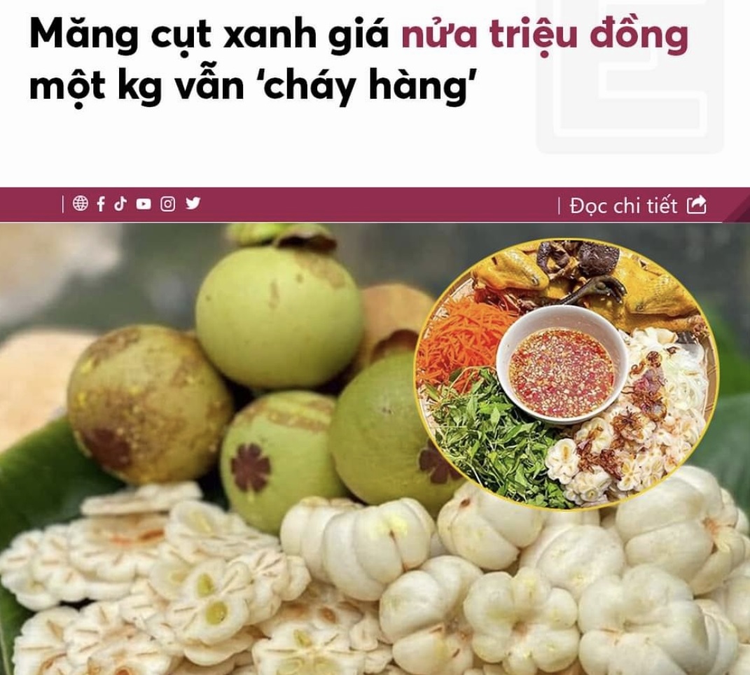 Hiệu ứng đám đông (herd mentality) là gì?