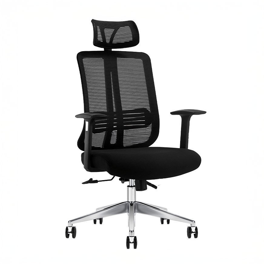 Ghế Công Thái Học A721