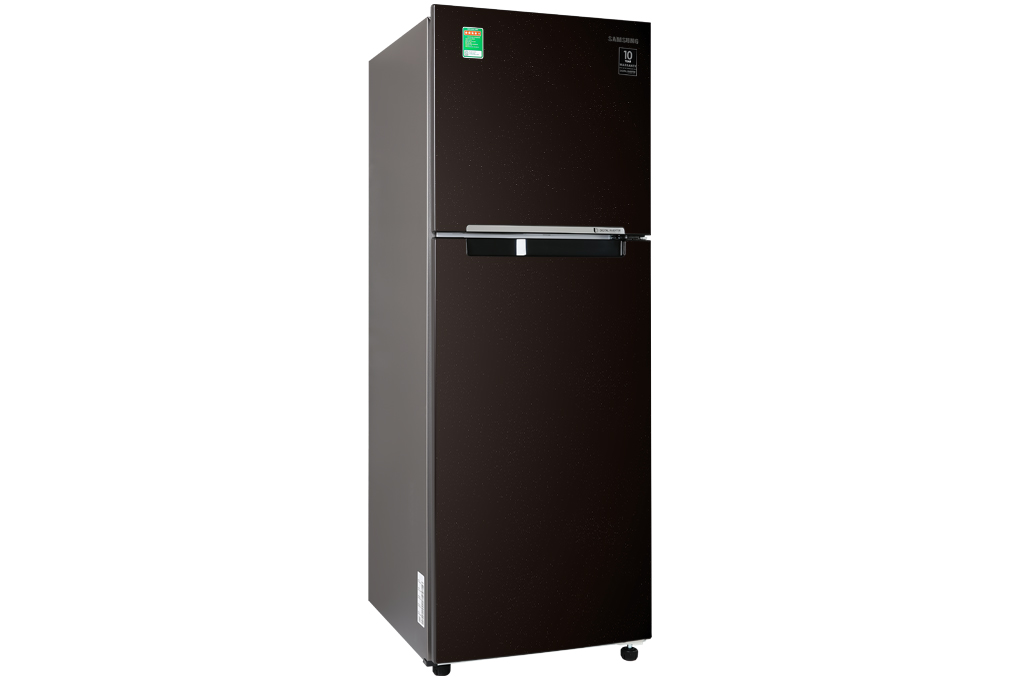 Tủ lạnh Samsung Inverter RT22M4032BY/SV 243 Lít