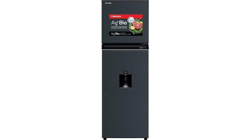 Tủ lạnh Toshiba Inverter 249 lít GR-RT325WE-PMV(06)-MG