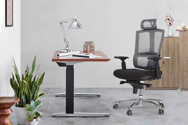 Trồng cây xanh trong văn phòng