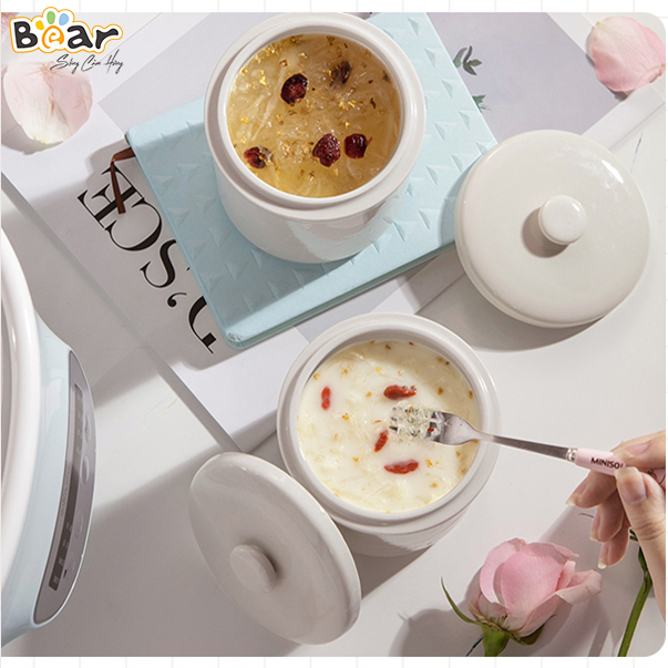 Nồi Nấu Chậm 2.5L Bear Sube003