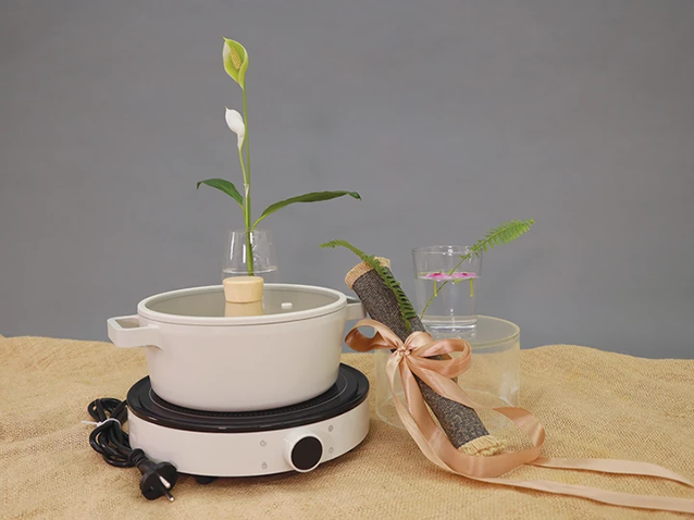 Combo Nồi nông 22 và bếp từ Fika Neoflam Hàn Quốc