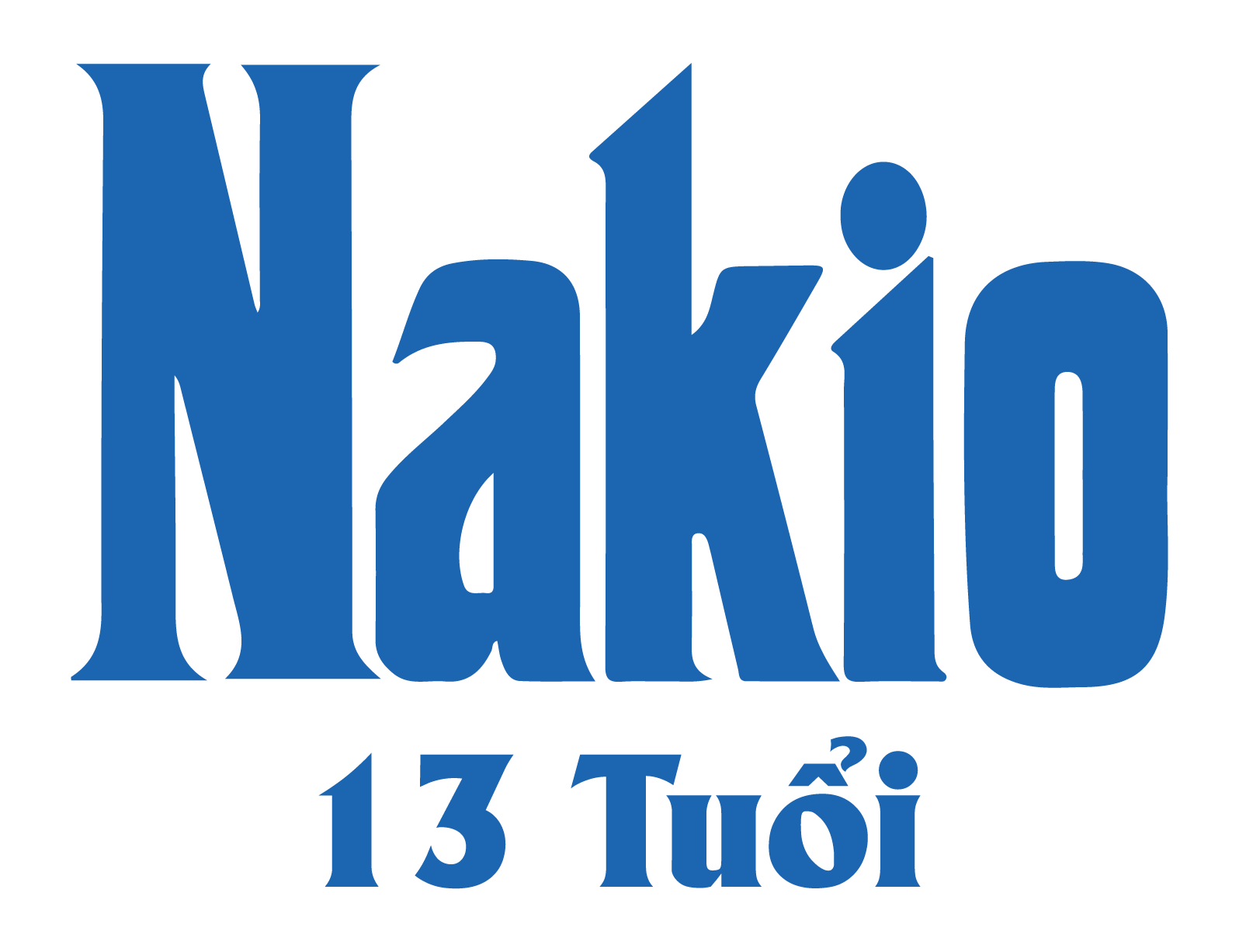 logo Nakio Computer