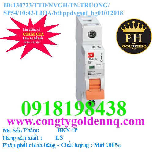 MCB LS BKN 6kA 1P 40A-50A-63A