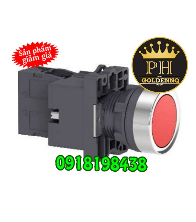 Nút Nhấn Có Đèn Schneider 22mm 380V AC