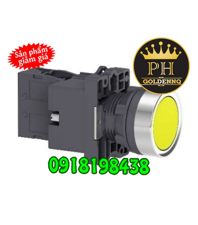 Nút Nhấn Có Đèn Schneider 22mm 380V AC