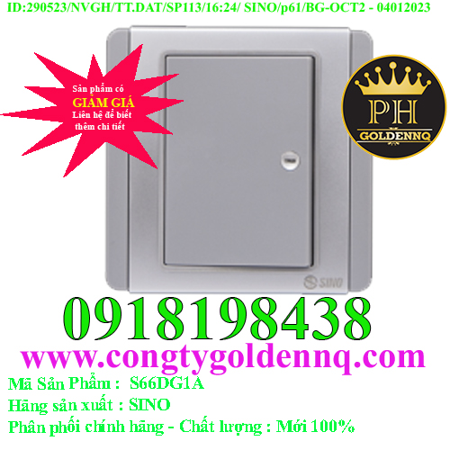 Công Tắc S66DG1A