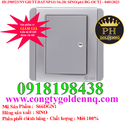 Công Tắc S66DGN1
