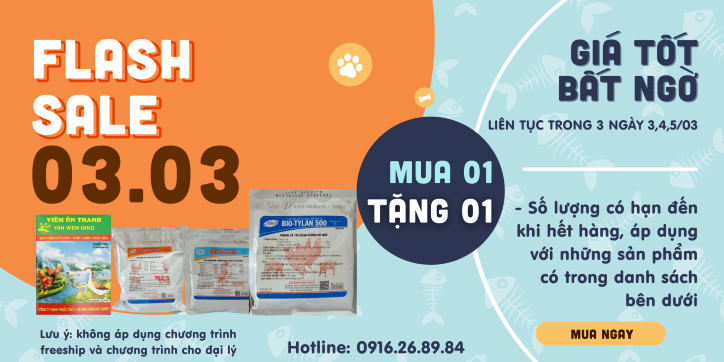 Chào Mừng Đến Với Flash Sale Tháng 03 - Mua 1 Tặng 1