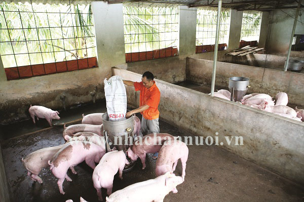 Thống kê chăn nuôi lợn của Việt Nam đến hết tháng 4/2020