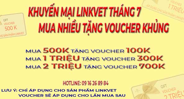 MUA NHIỀU ĐƯỢC HƯỞNG VOUCHER LỚN