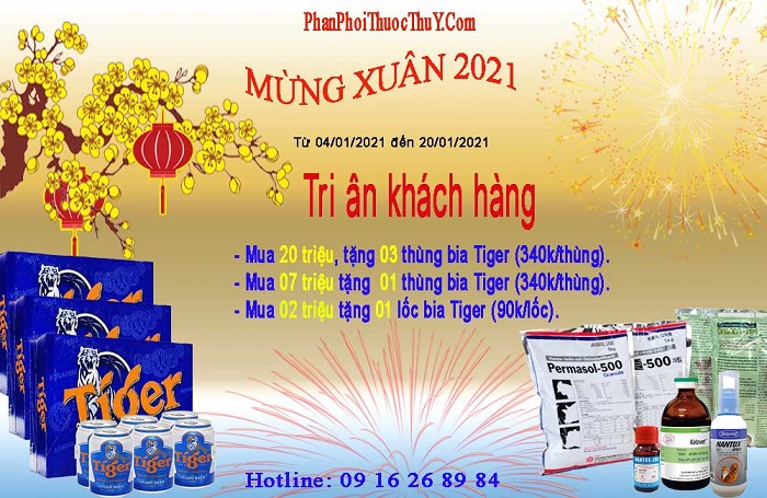 Mừng xuân mới cùng nhà phân phối thuốc thú y phanphoithuocthuy.com