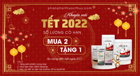 Chương trình khuyến mãi tết 2022 - Ưu đãi cực lớn Mua 2 Tặng 1