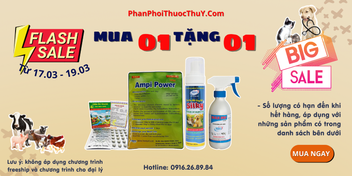 Big Sale Giữa Tháng 3 - Mua 1 Tặng 1