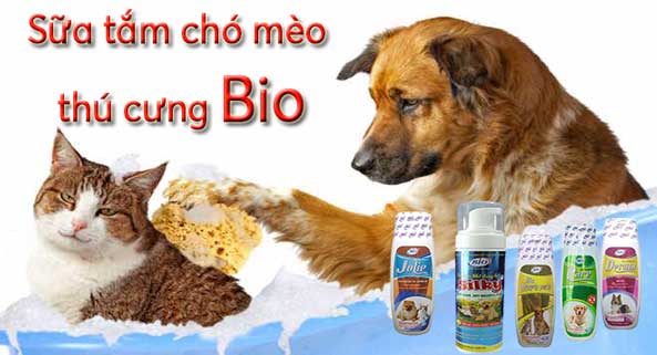 Các loại sữa tắm chó mèo tốt nhất của Bio