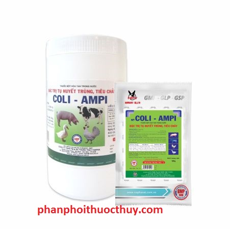 npv coli ampi xanh 100gr