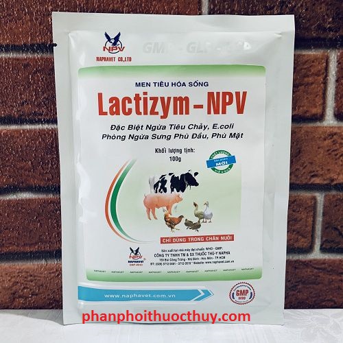 npv lactizym 100gr