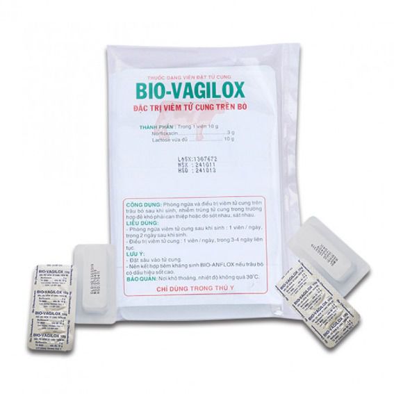 trị viêm tử cung bò bio vagilox bò