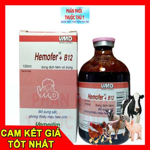 bổ sung sắt vemedim hemofer b12 100ml