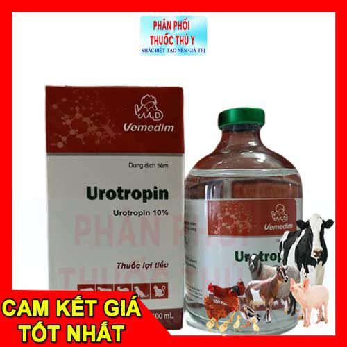 thuốc lợi tiểu vemedim urotropin 100ml