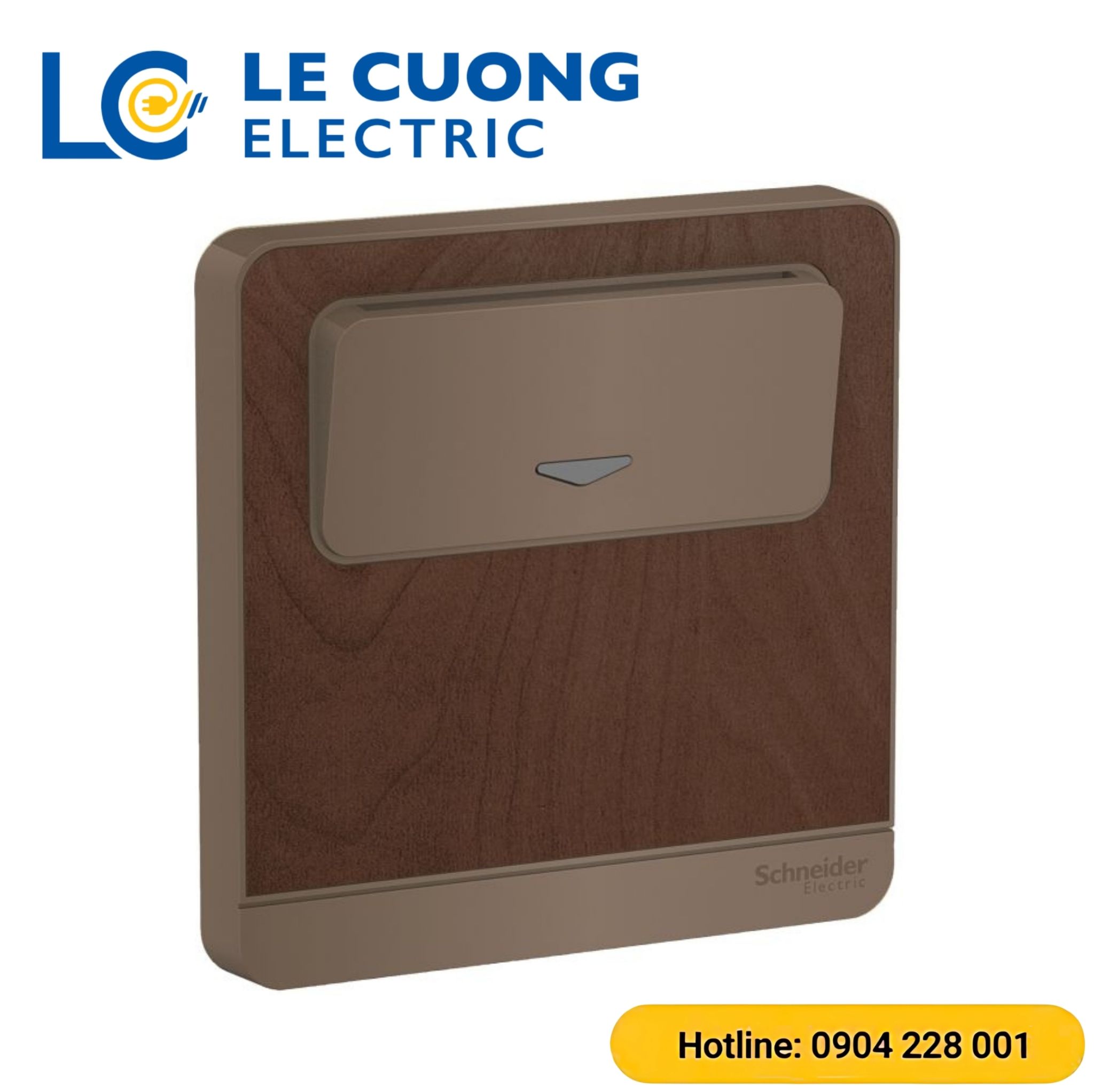 Bộ công tắc chìa khóa thẻ Schneider ELECTRIC