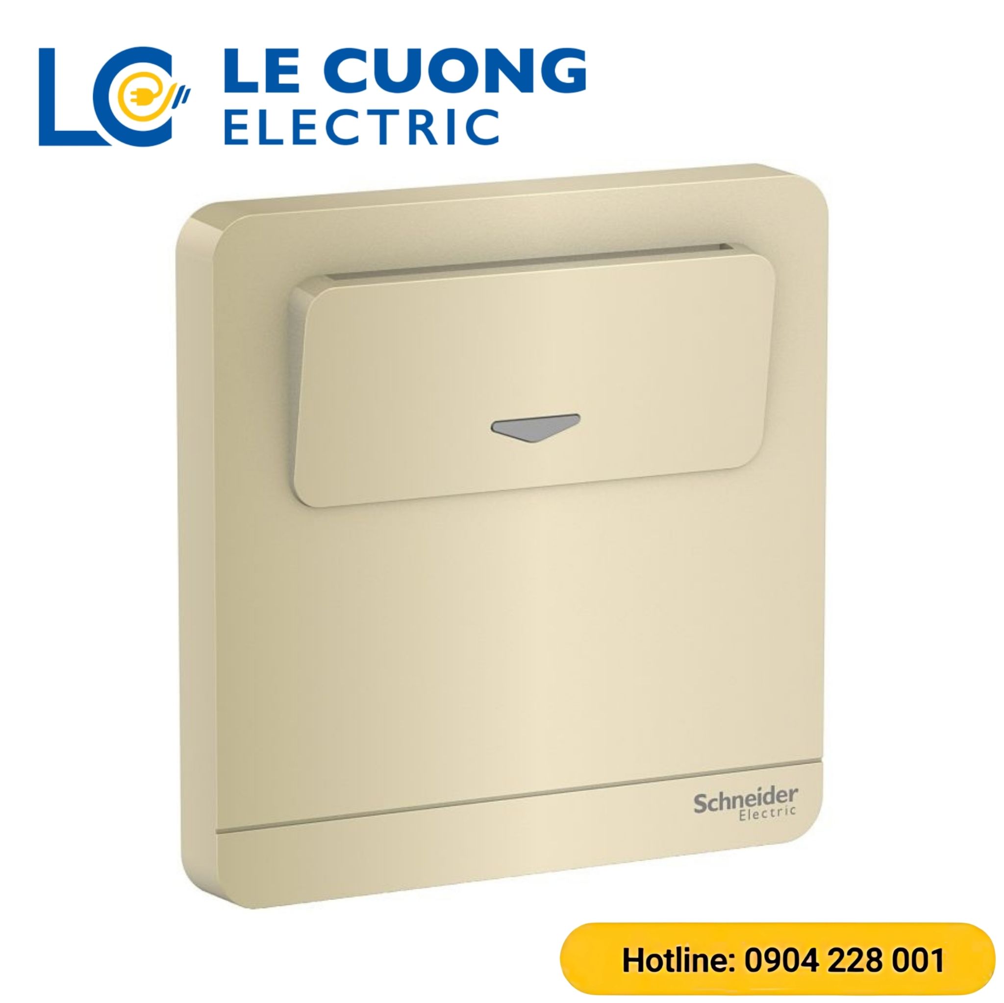 Bộ công tắc chìa khóa thẻ Schneider ELECTRIC