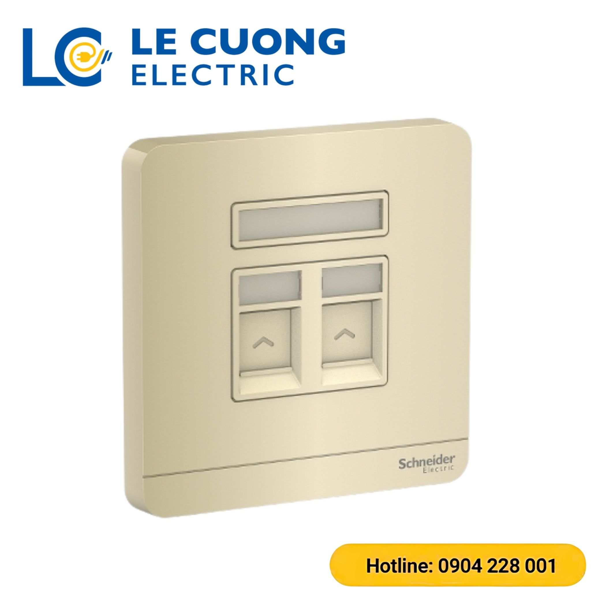 Bộ ổ cắm mạng cat6 đôi Schneider ELECTRIC