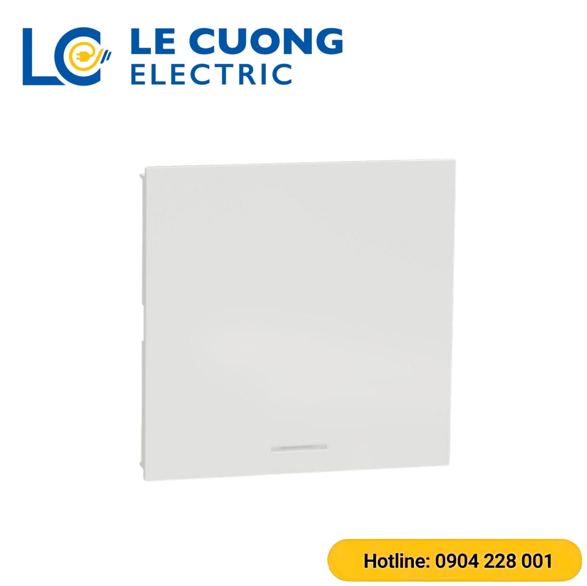 Công tắc 1 chiều 16AX, size E Schneider ELECTRIC