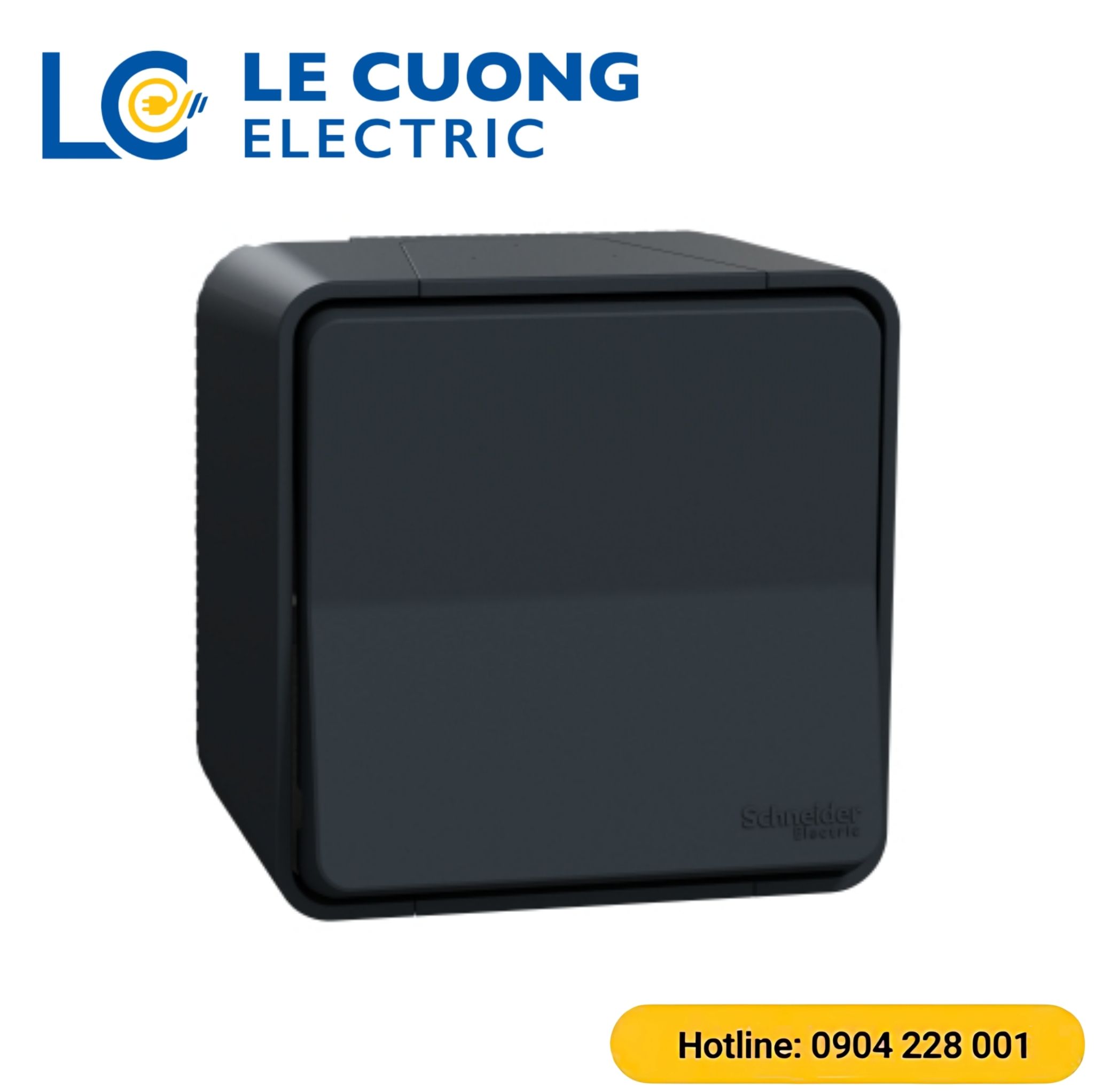 Bộ công tắc đơn hai chiều 10AX Schneider ELECTRIC