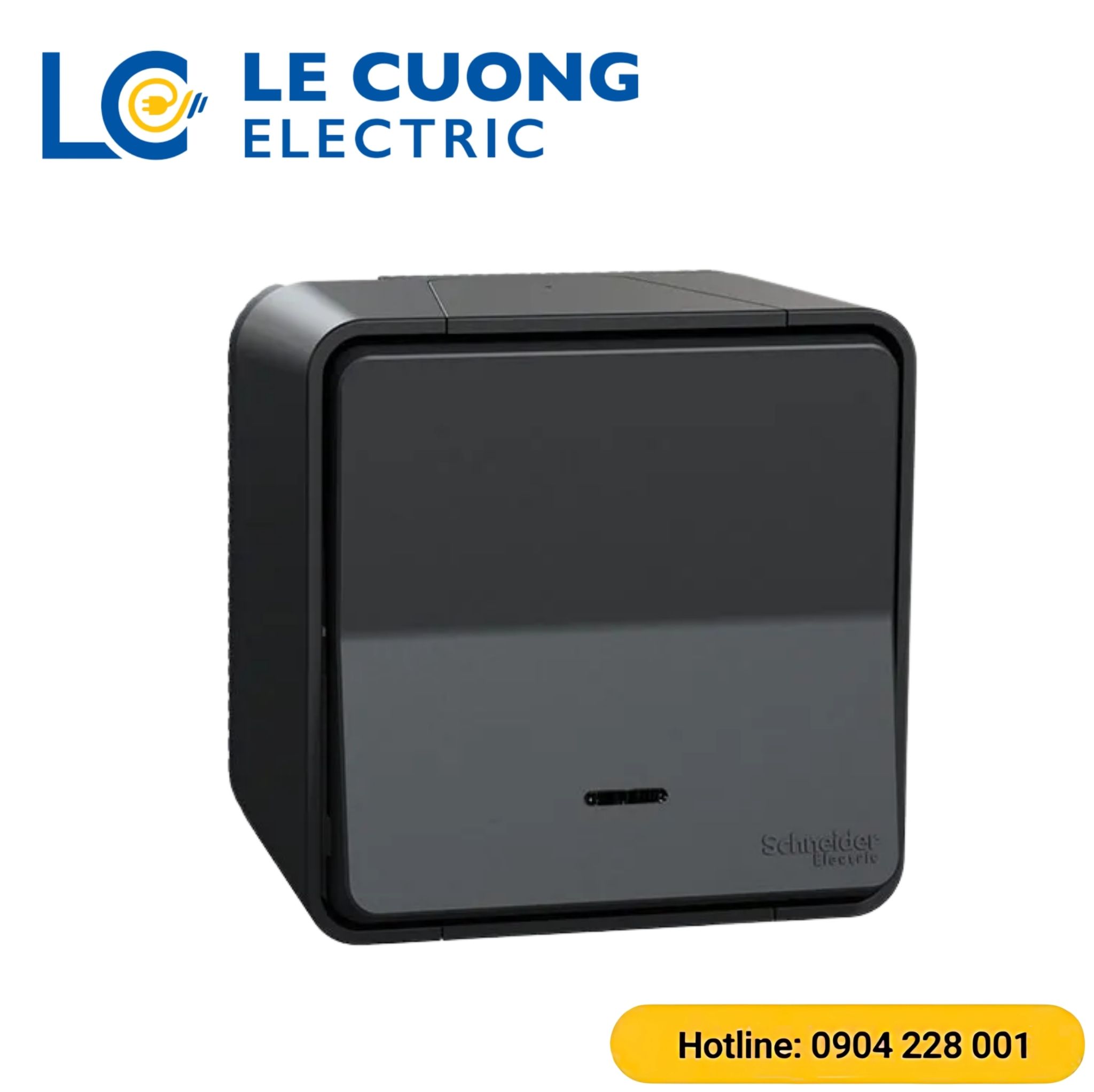 Bộ công tắc đơn hai chiều 10AX , có đèn LED Schneider ELECTRIC