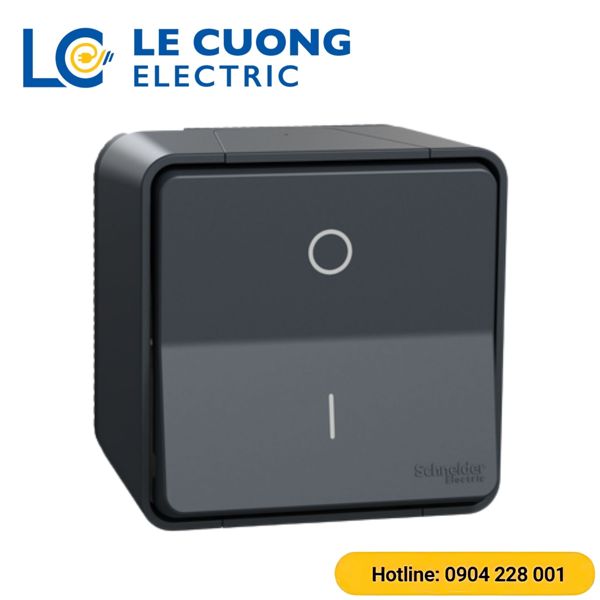 Bộ công tắc đơn hai cực 16AX Schneider ELECTRIC