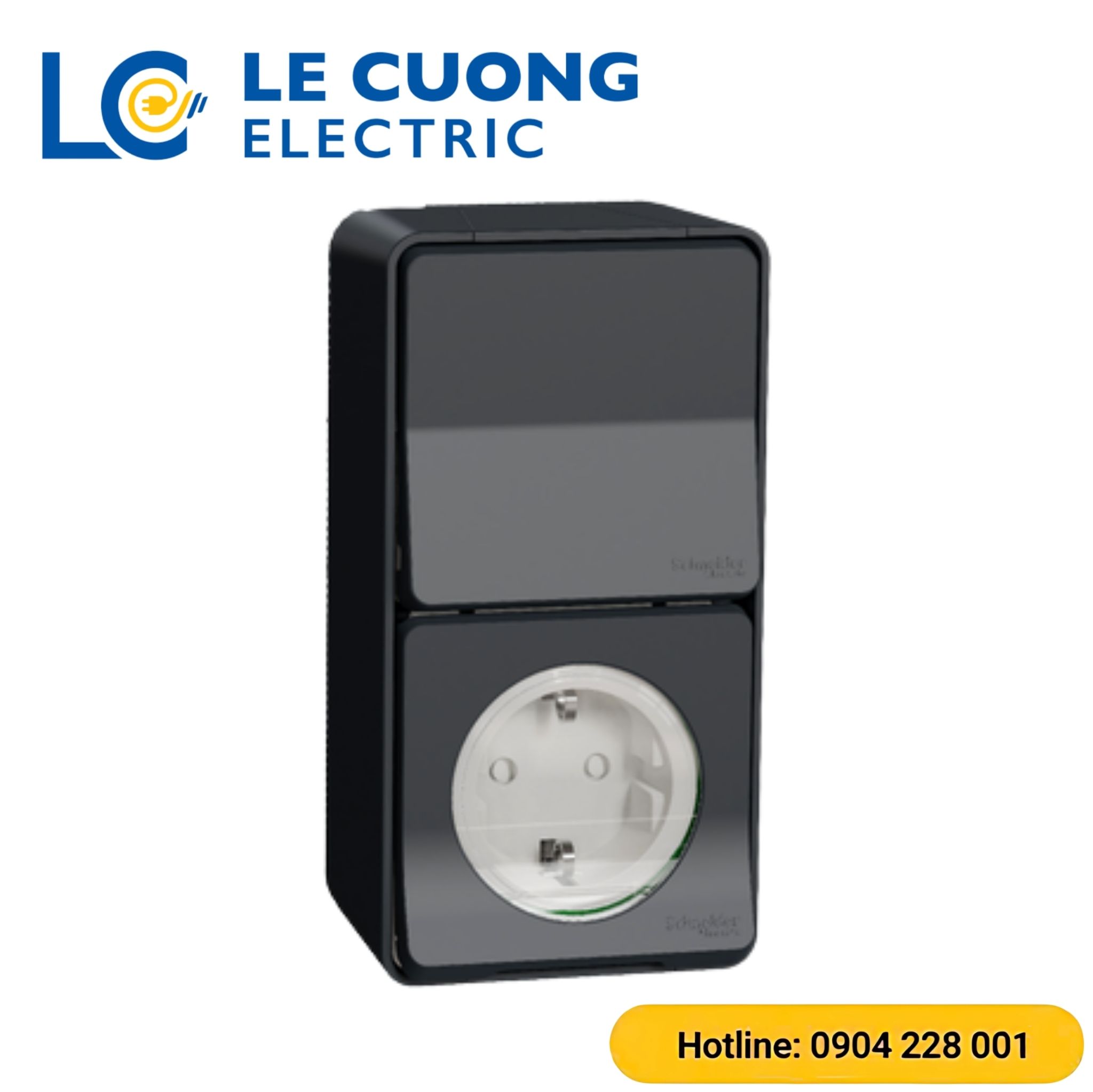 Ổ cắm đơn có công tắc 10AX Schneider ELECTRIC