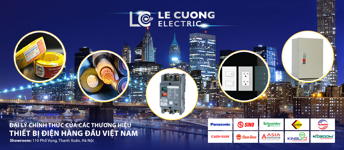 Lê Cương Electric