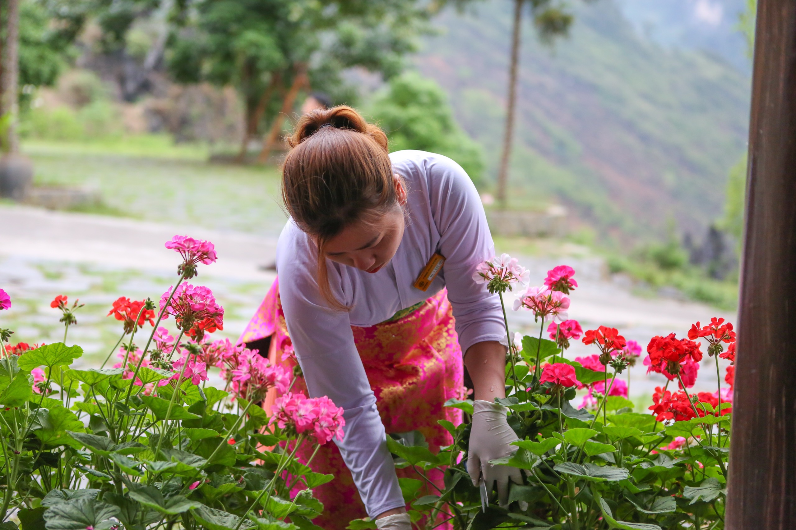 Đội ngũ H'mong Village