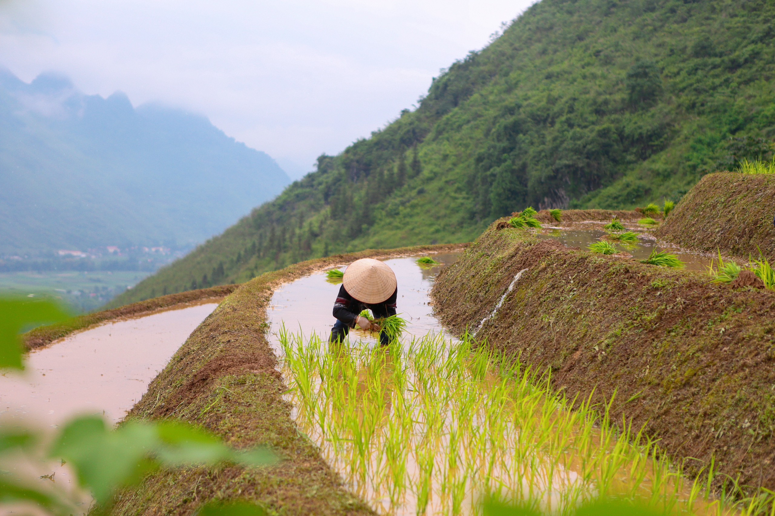 NGẮM H'MONG VILLAGE MÙA NƯỚC ĐỔ