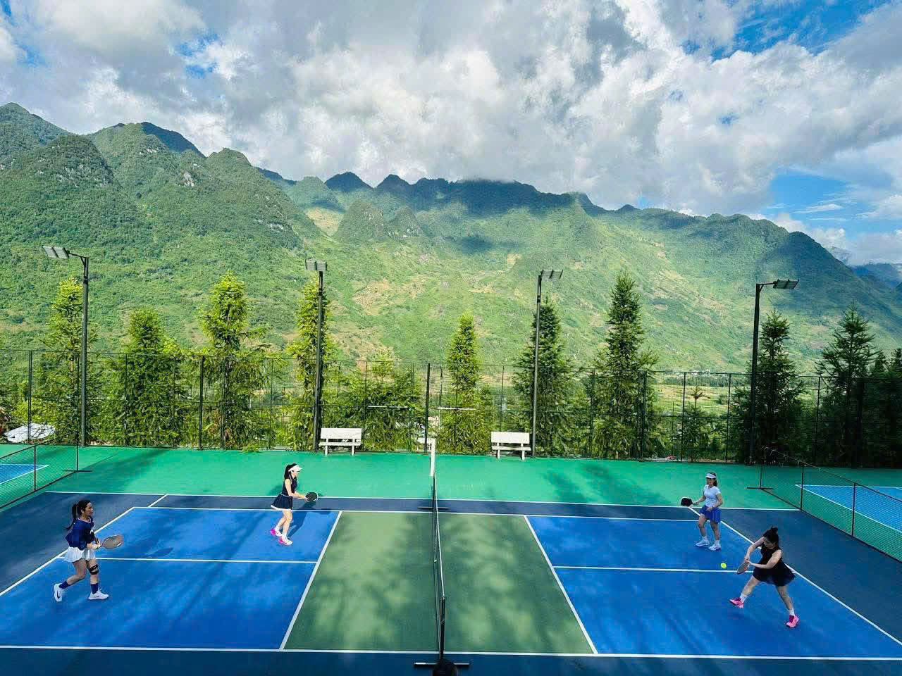 Mặt sân pickleball