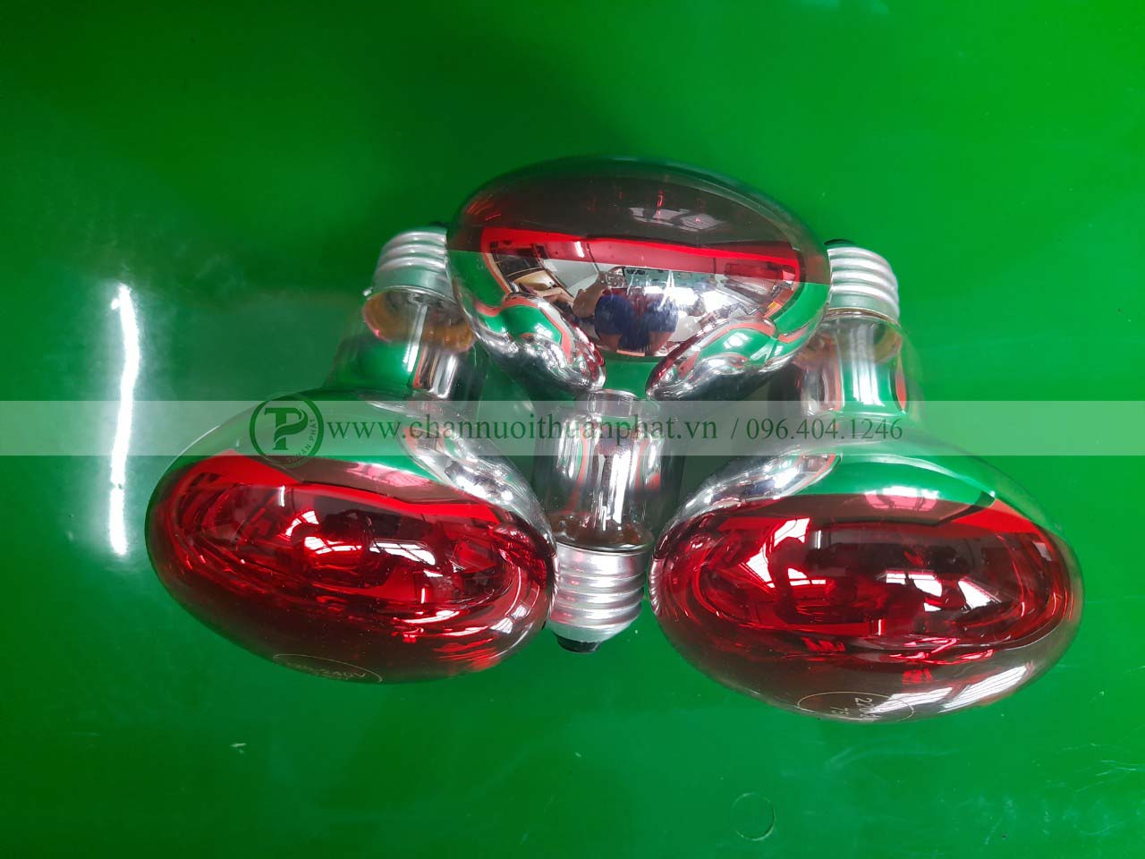 Bóng úm (sưởi) Hồng Ngoại