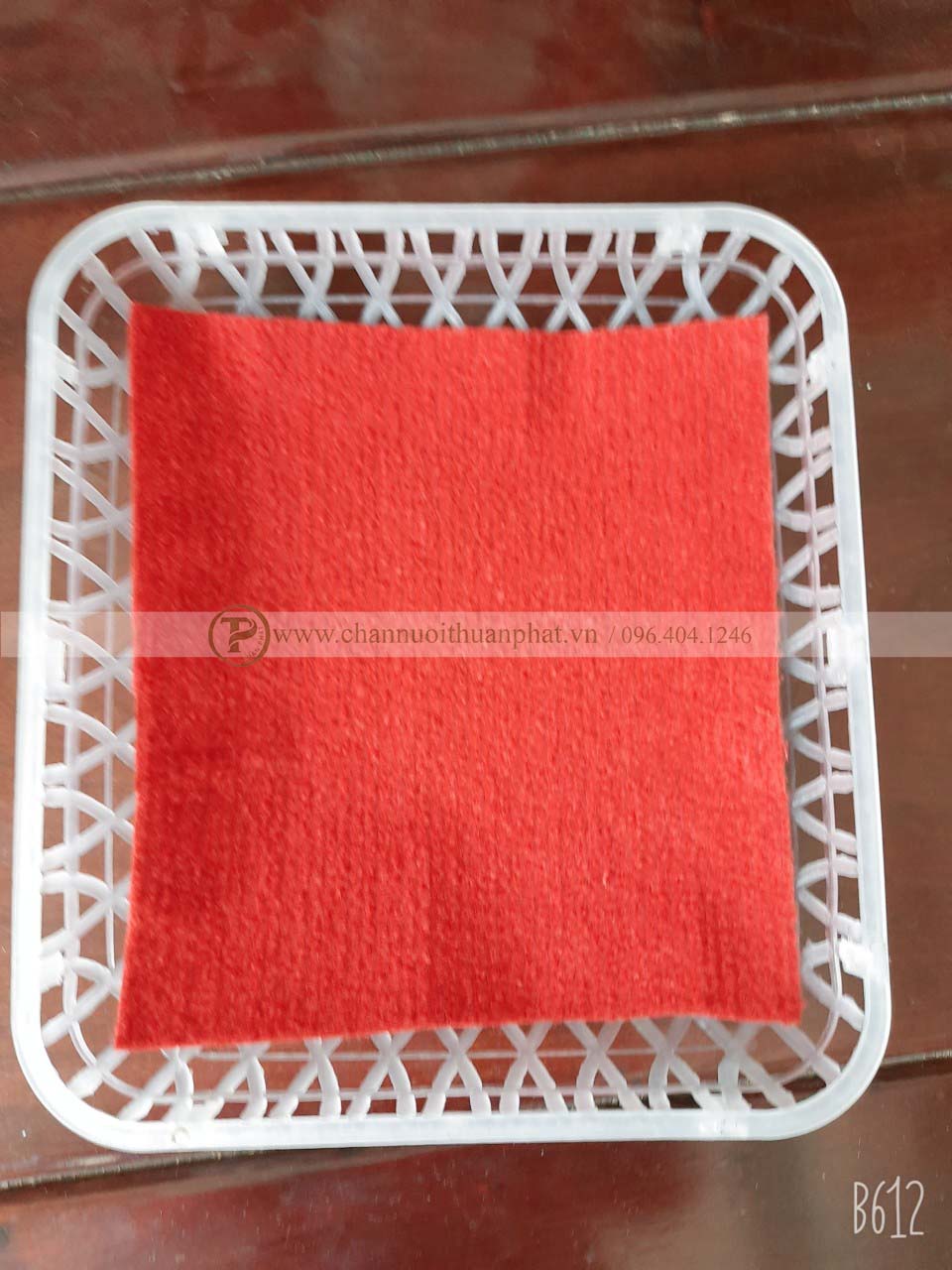 Ổ đẻ trứng chim bồ câu