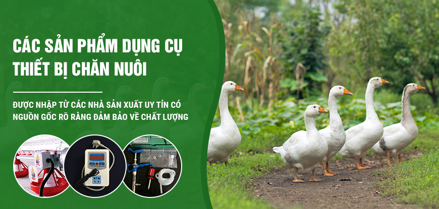 Cung cấp thiết bị và dụng cụ chăn nuôi, dụng cụ trang trại, dụng cụ thú y uy tín chất lượng cao - Channuoithuanphat.vn