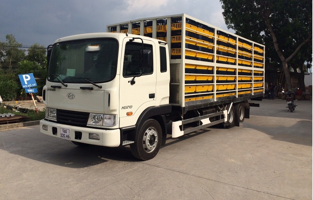 Xe chở gia cầm