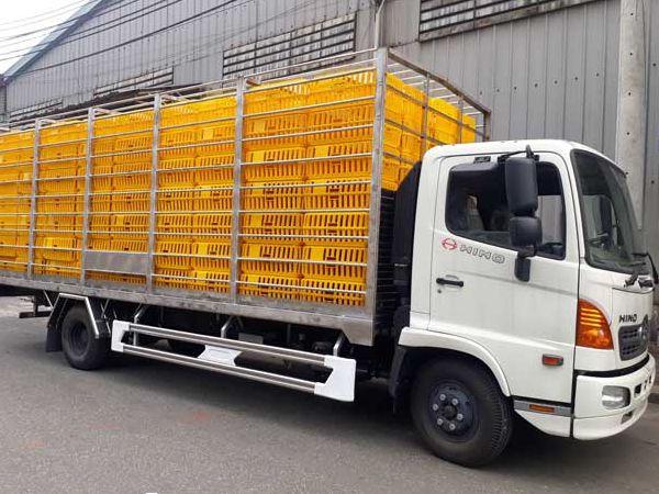 Xe chở gia cầm