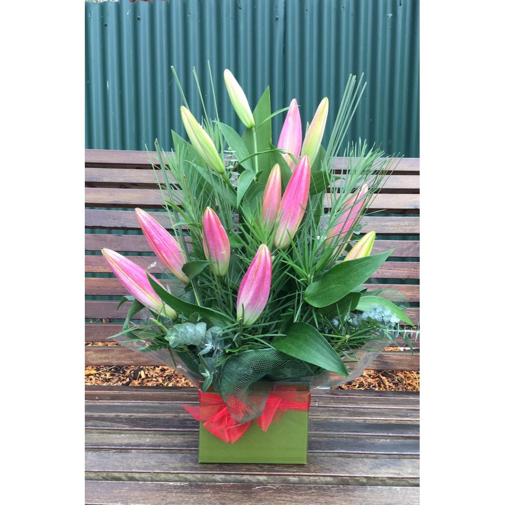 MD-Box-arrangement 143