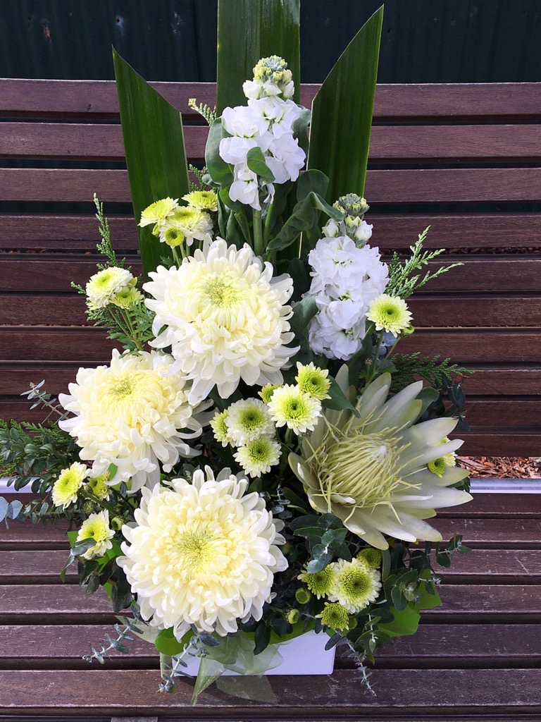 Md-box-arrangement 146