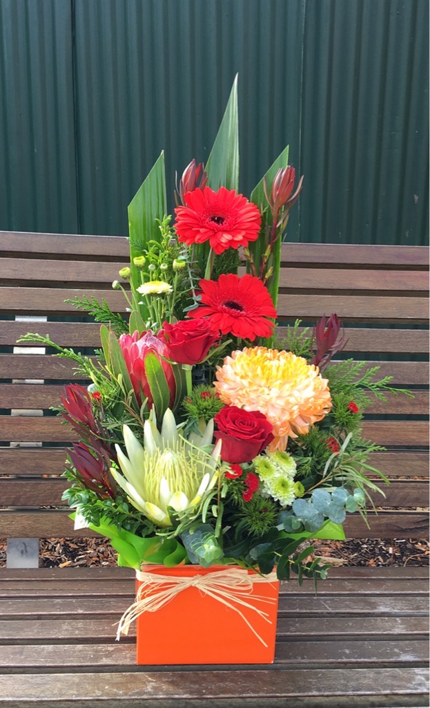 Md-box-arrangement 145