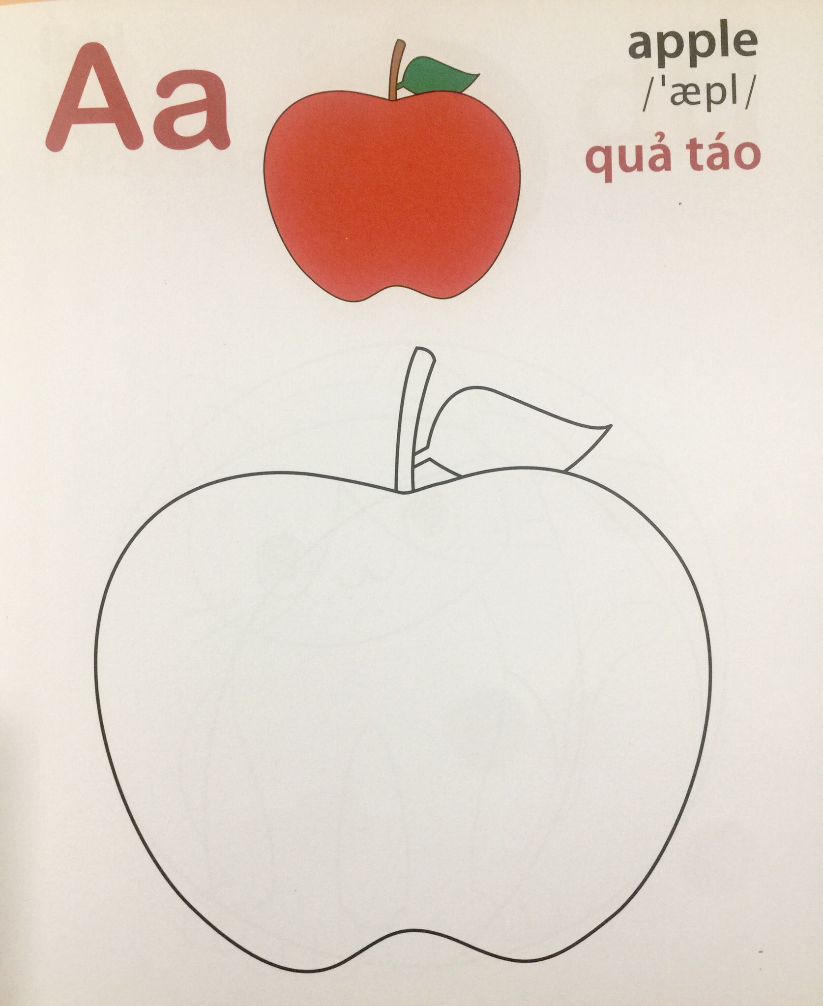 Giờ Học Tô Màu Của Bé - Bảng Chữ Cái