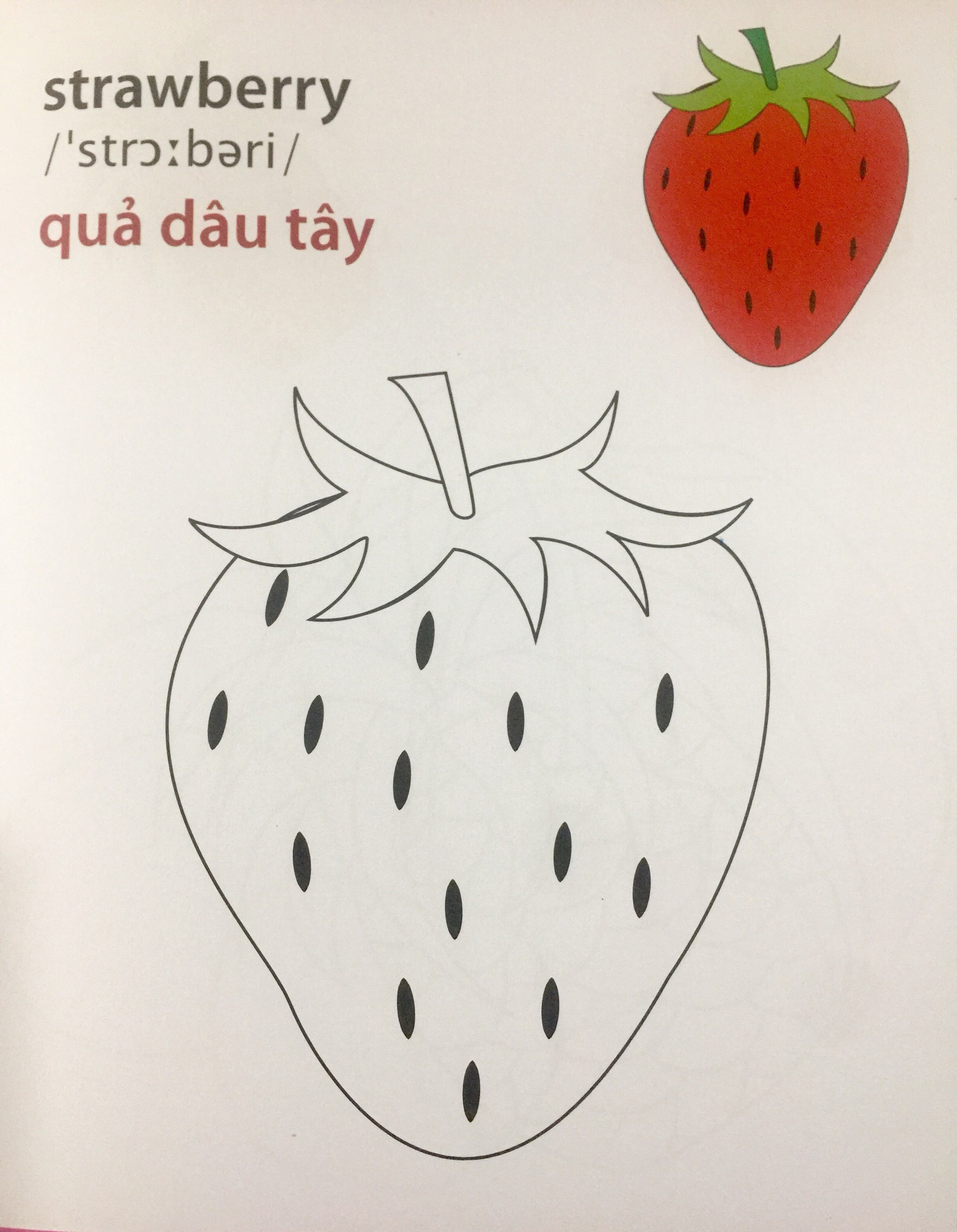 Giờ Học Tô Màu Của Bé - Trái Cây