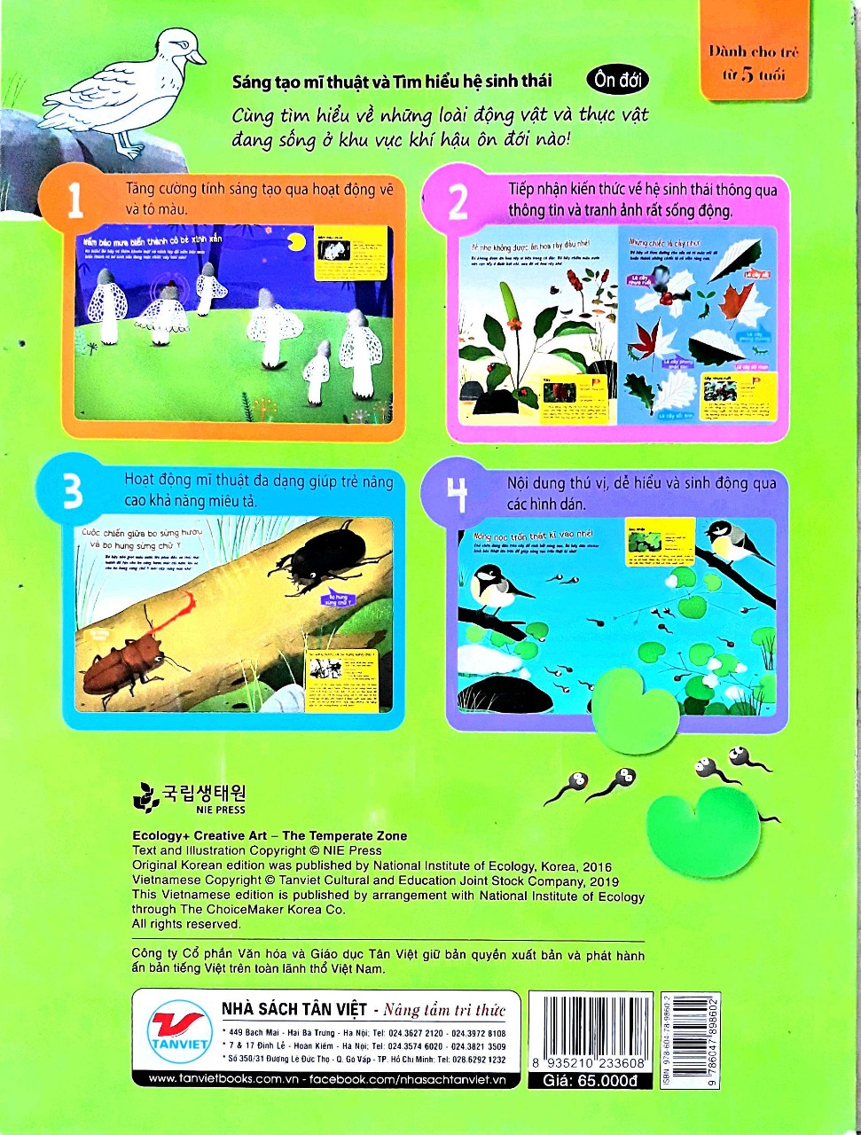 Sáng Tạo Mỹ Thuật Và Tìm Hiểu Hệ Sinh Thái - Ôn Đới