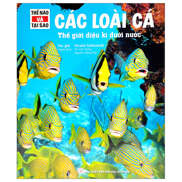 Thế Nào Và Tại Sao: Các Loài Cá - Thế Giới Diệu Kì Dưới Nước - Bìa Cứng (Tái Bản 2023)